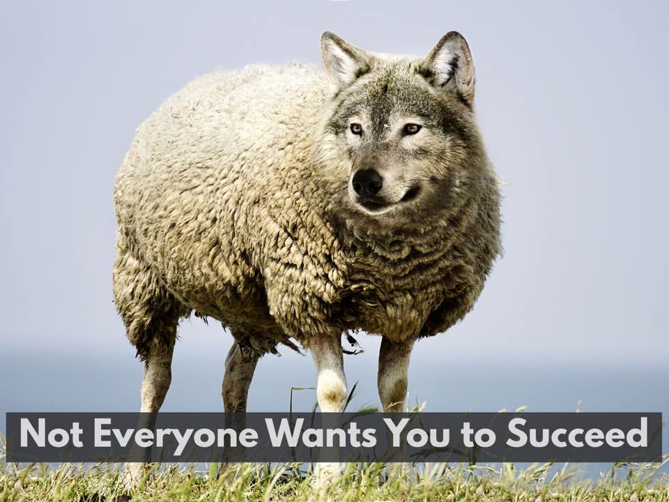 30705103_10156353004229214_3194911651212840577_n